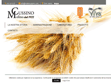 Tablet Screenshot of molinocussino.com